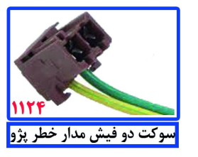 سوکت دو فیش مدار خطر پژو