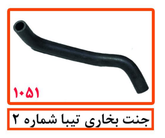 جنت بخاری تیبا شماره 2