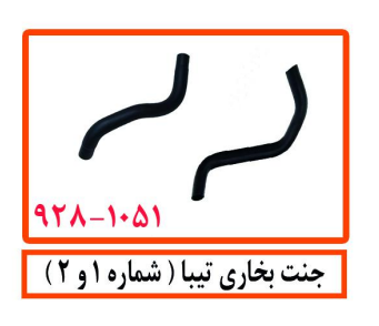 جنت بخاری تیبا (شماره 1)