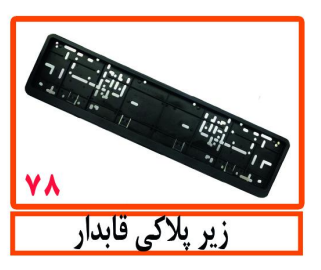 زیر پلاکی قابدار
