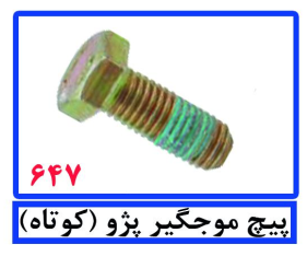 پیچ موجگیر پژو (کوتاه)