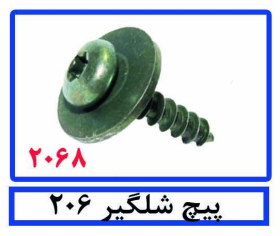 پیچ شلگیر 206