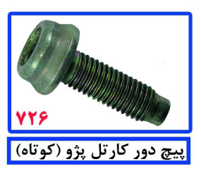 پیچ دور کارتل پژو(کوتاه)